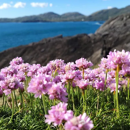 Anam Sona Seaview Couette-café 4*