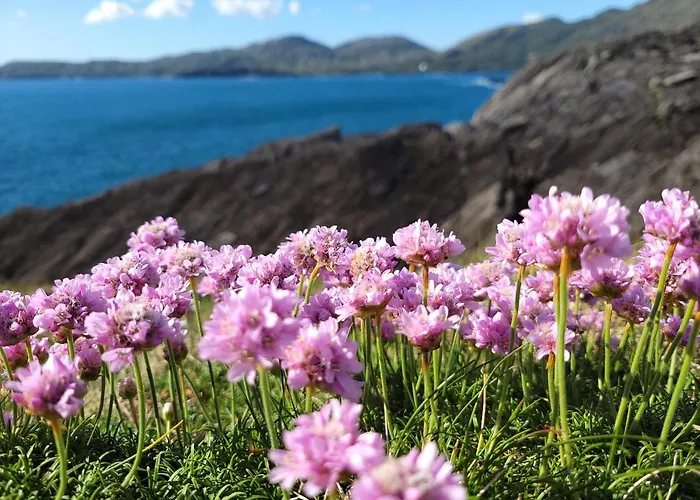 Anam Sona Seaview Bed & Breakfast 4*